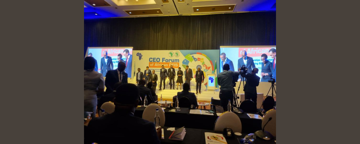 CEO Forum of African DFIs
